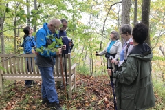 The group pauses for a rest at Beech Point Lookout. Our two hike leaders are on the right in light coloured jackets, Barb and Daisy.