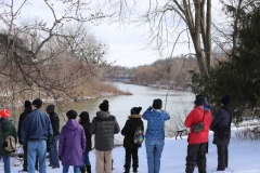 Nature London Members Looking for Birds