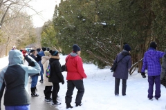 Nature London Members Looking for Chickadees