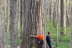 2018-05-09-Coldstream-One-of-the-Giants1