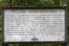 Jackson-Gunn Old Growth Forest