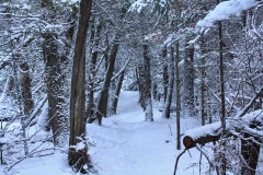 2018WeatherContest - IMG_0778 GORDON PAYNE