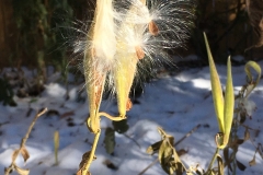 2018WeatherContest - IMG_5484 lori ykema