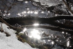 2020-02-17_CedarcroftFamilyDay_DiamondInTheWater