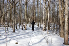 2020-02-17_CedarcroftFamilyDay_HikingToBeechPoint