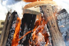 2020-02-17_CedarcroftFamilyDay_RoastingHotdogs-ShowOff
