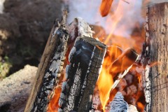 2020-02-17_CedarcroftFamilyDay_RoastingHotdogs1