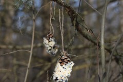 2020-02-17_CedarcroftFamilyDay_SuetFilledPinecone2