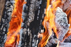 2020-02-17_CedarcroftFamilyDay_TheFire