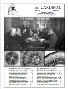 235bcover