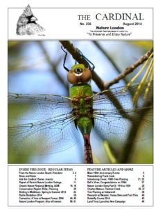 236 web edition cover