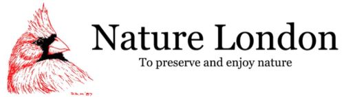 Nature London logo and motto, to preserve and enjoy nature